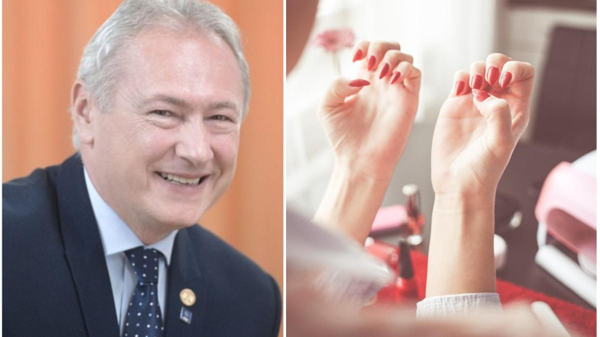 lucian heius seful anaf manichiuriste controale profesori meditatii taxe