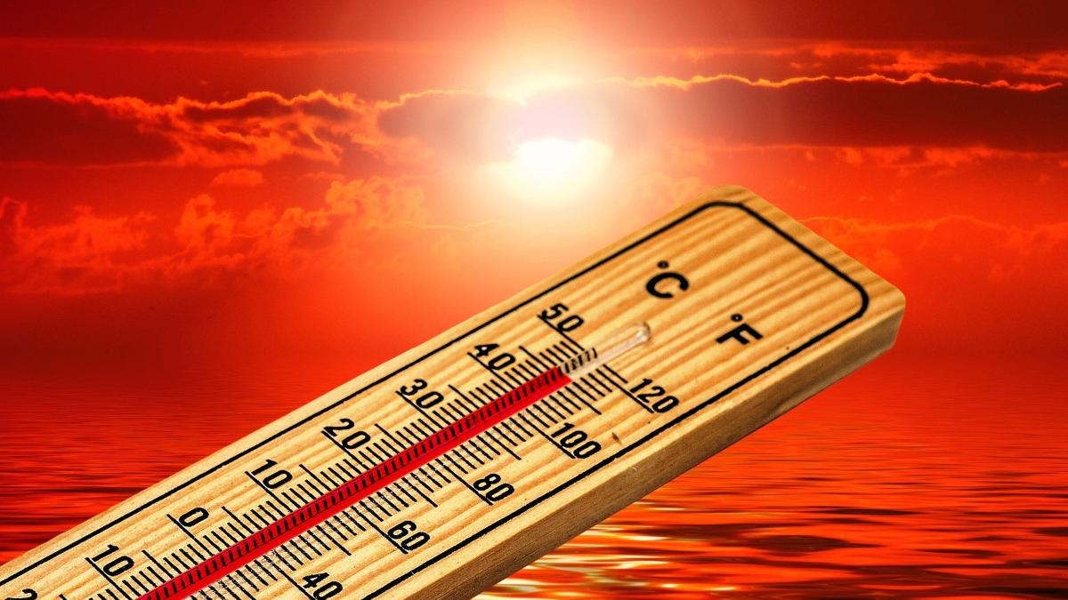 sfaturi utile pe timp de canicula pentru o vara in siguranta