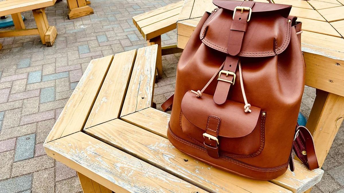 6000 euro furati ghiozdan nesupravegheat parc bucuresti