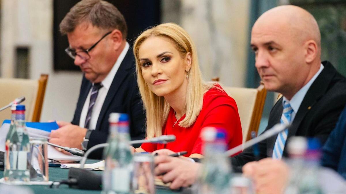 gabriela firea psd nivel salariu minim