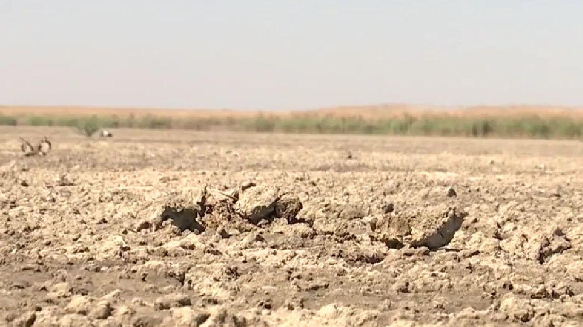 lacul amara buzau secat complet peisaj desert