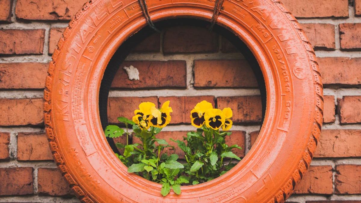 cum asociem corect plantele in jardiniere