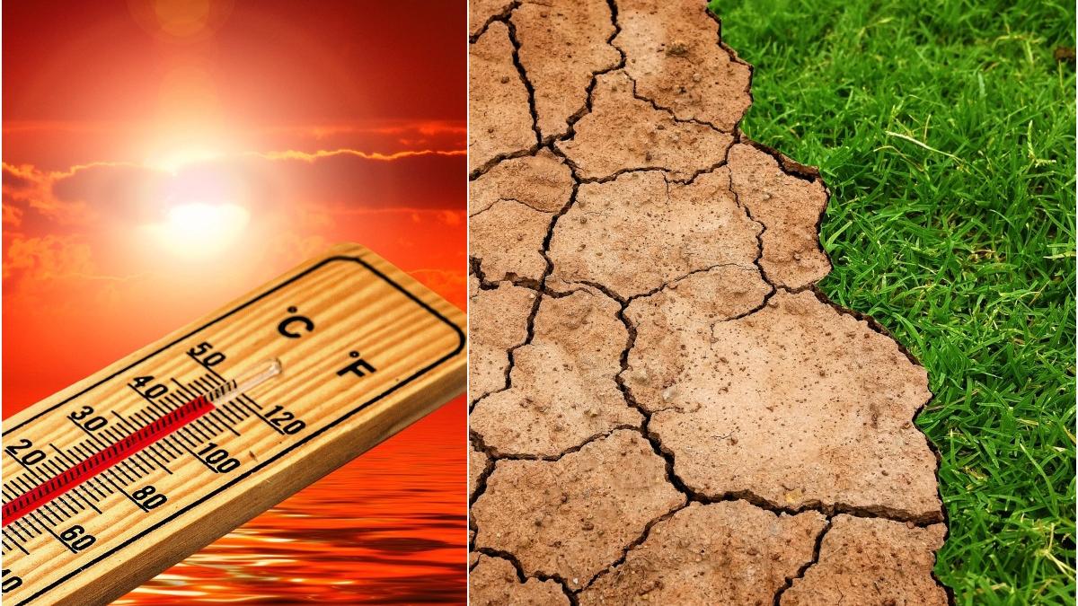seceta romania faliment fermieri canicula institut national hidrologie