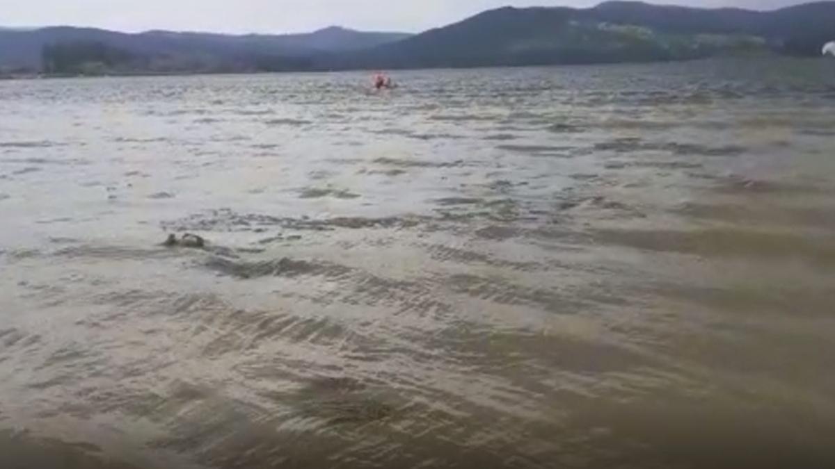 un velier s a rasturnat in barajul nord din ramnicu valcea