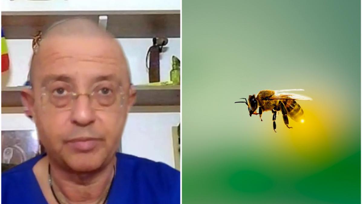 ghid supravietuire intepatura albine 10 lucruri care ne pot salva viata