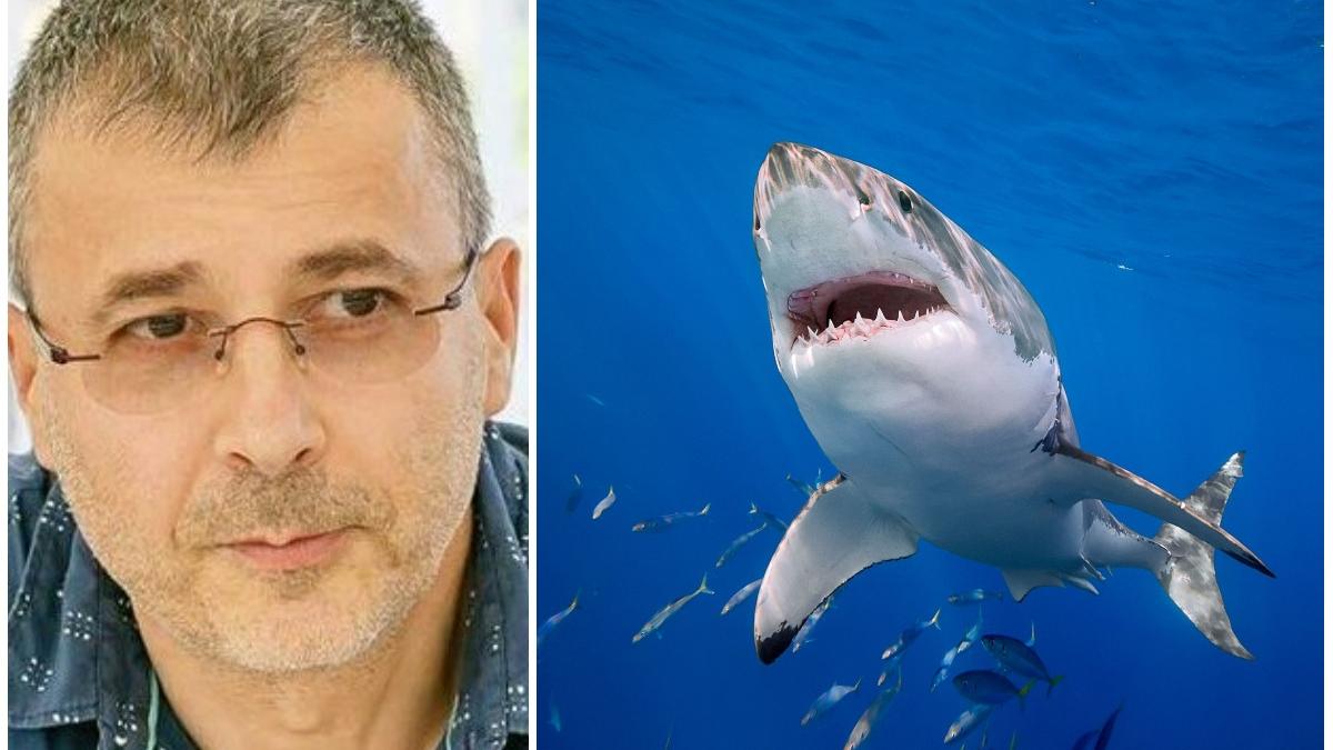 adrian bilba doctor in stiinte veterinare despre atacul rechinilor din egipt si turcia