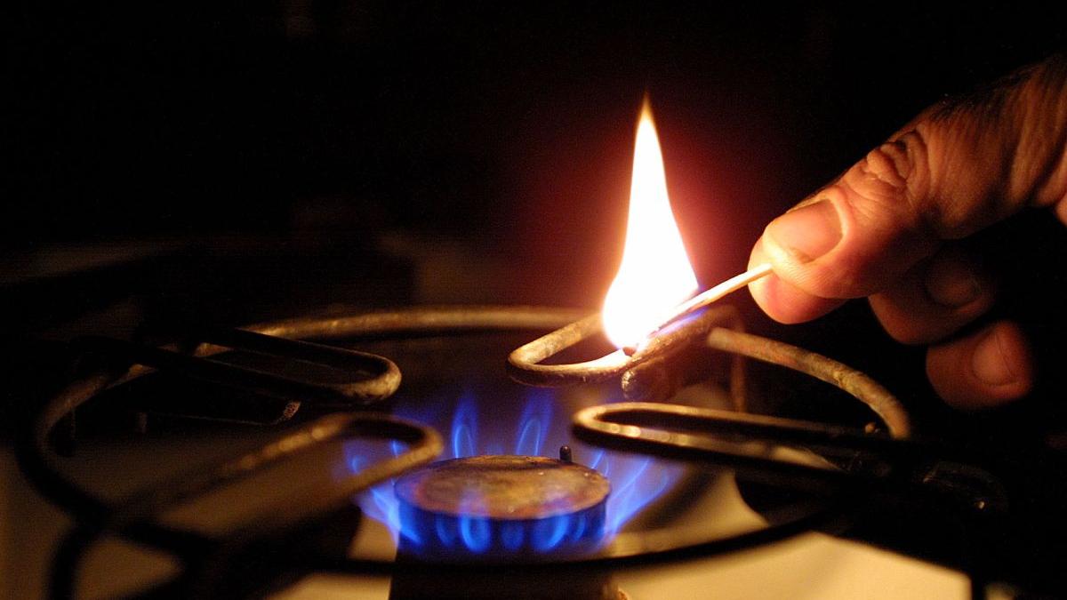 firme gaze iarna guvern procedura