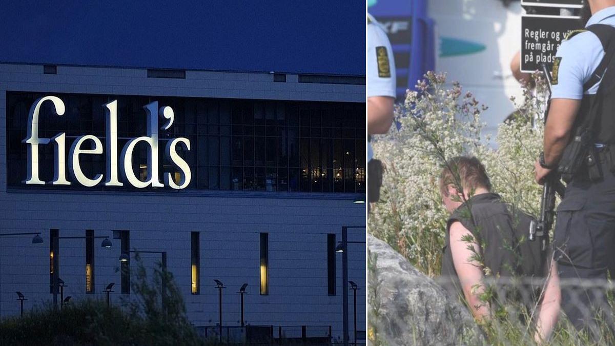 suspect mall copenhaga inarmat sinucidere morti