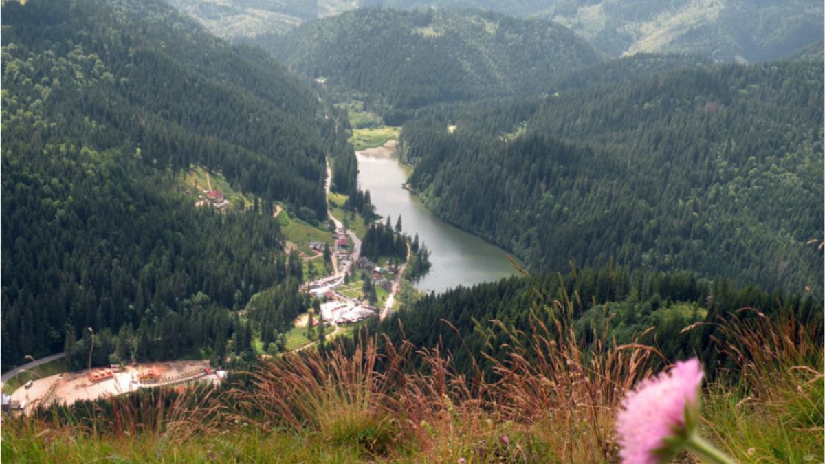 copii toxiinfectie alimentara tabara lacu rosu