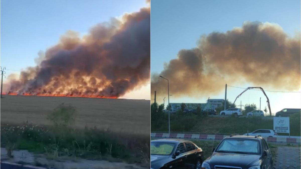 incendiu lan grau navodari
