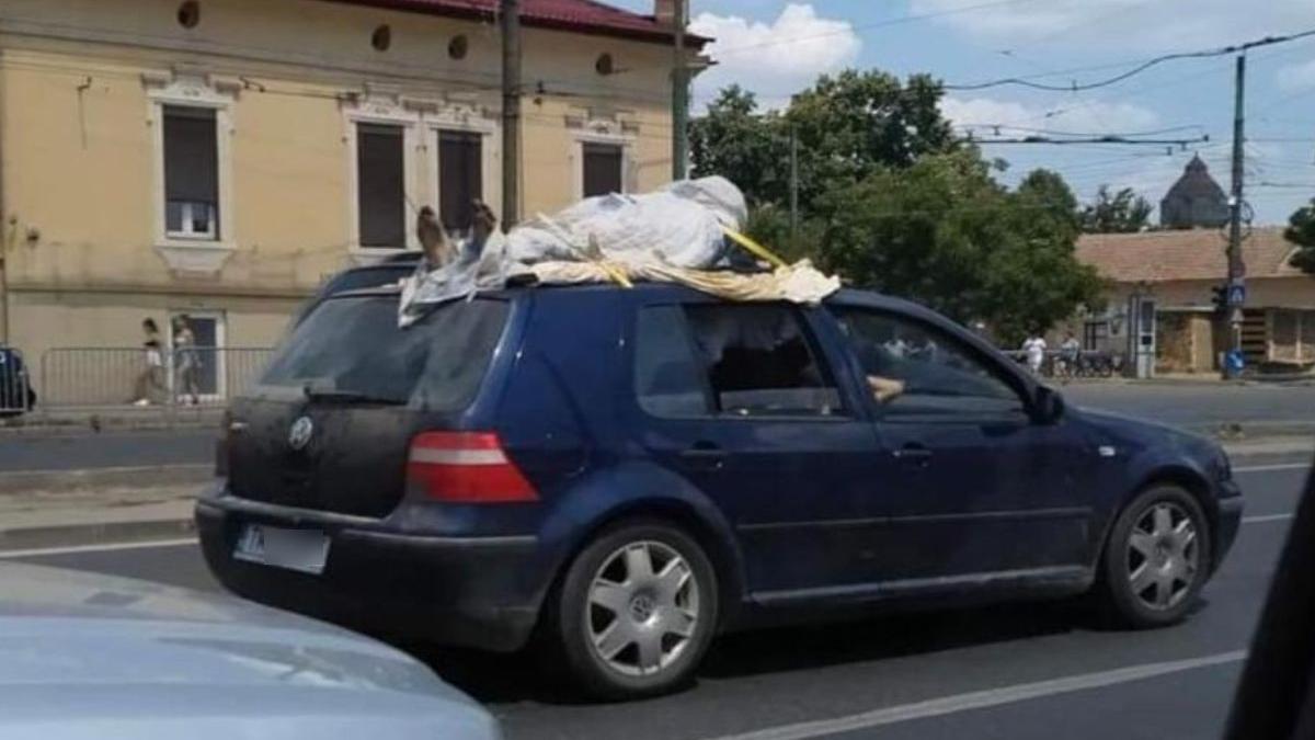 soferi timisoara sunat 112 cadavu legat plafon golf 4