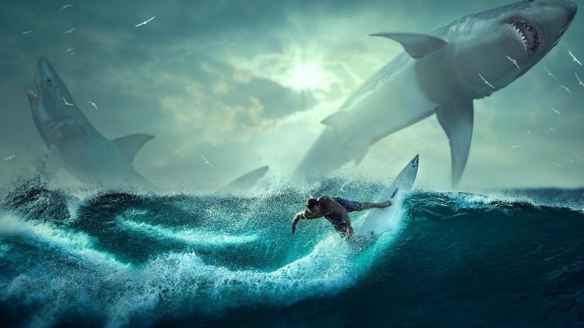 ce trebuie sa stii si sa faci ca sa eviti atacul unui rechin daca mergi in egipt si nu numai