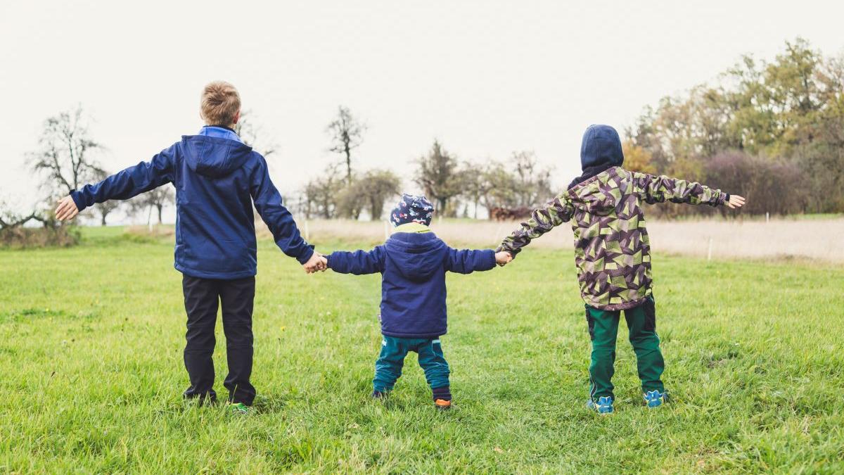 gabriela firea ajutor familii numeroase card reducere