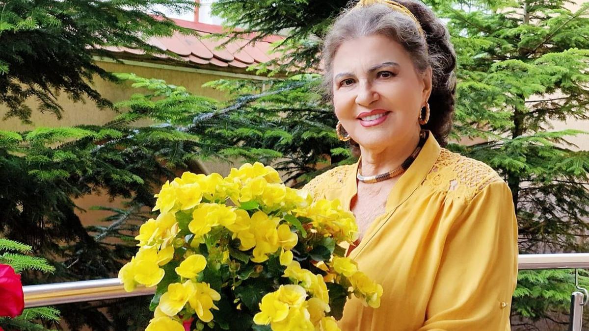 irina loghin pensie speciala