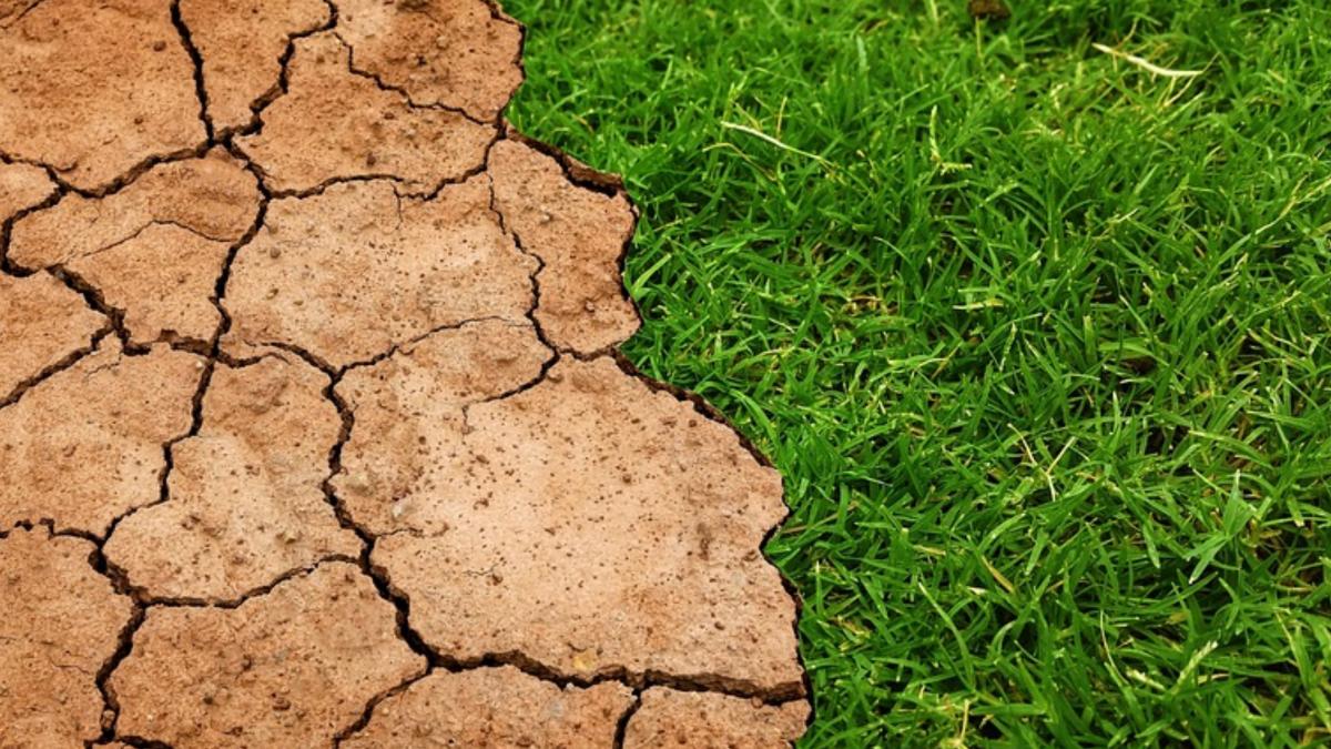 romanii beau apa cu portia statul roman vinde apa in ungaria