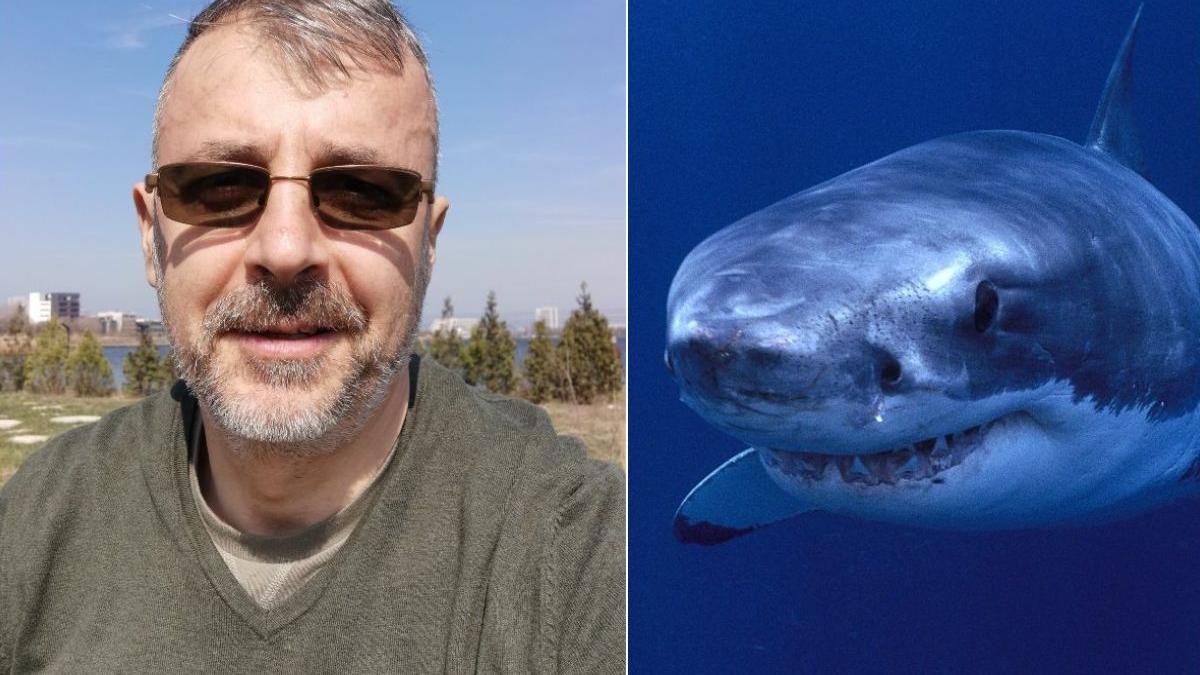 adrian bilba detalii rechini ucigasi