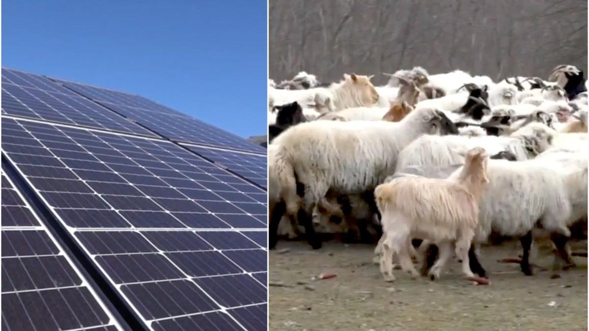 energie verde pentru stanele din muntii carpati