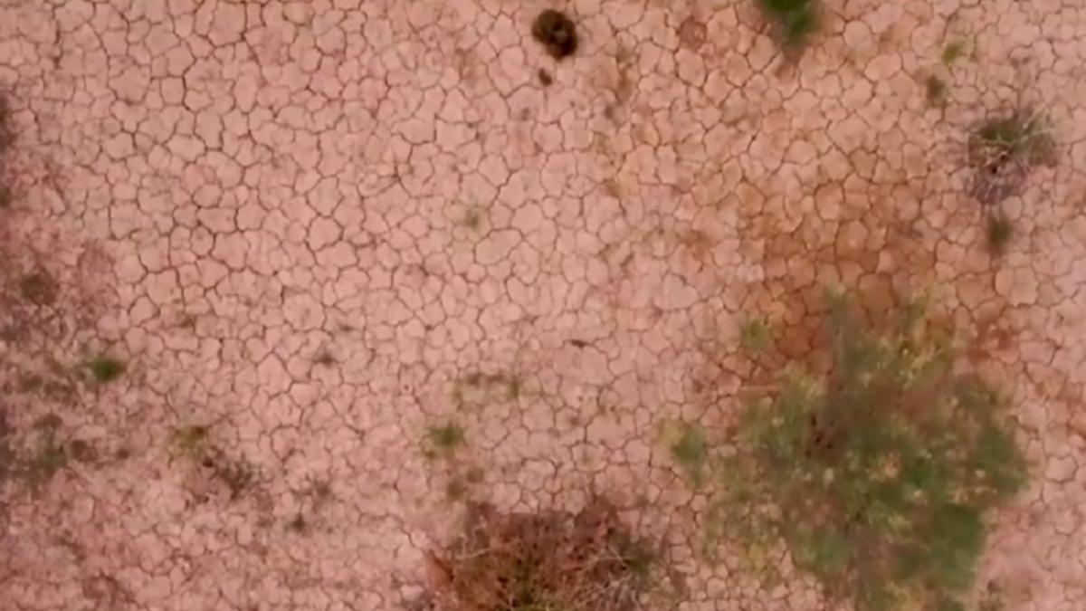 romania seceta pericol desertificare ministrul mediului