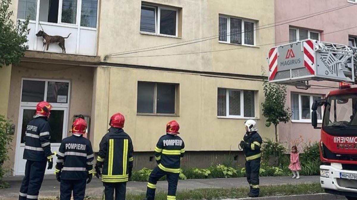 caine lasat legat balcon apartament salvat pompieri sibiu