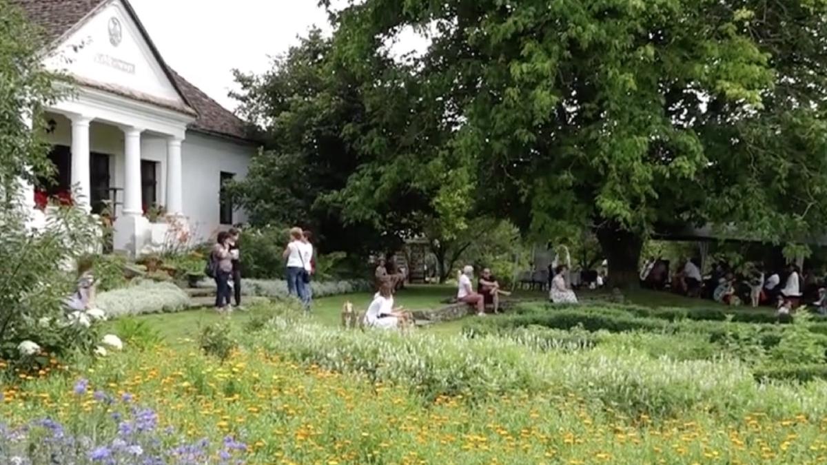 gradina plante vindecatoare atractie turistica harghita