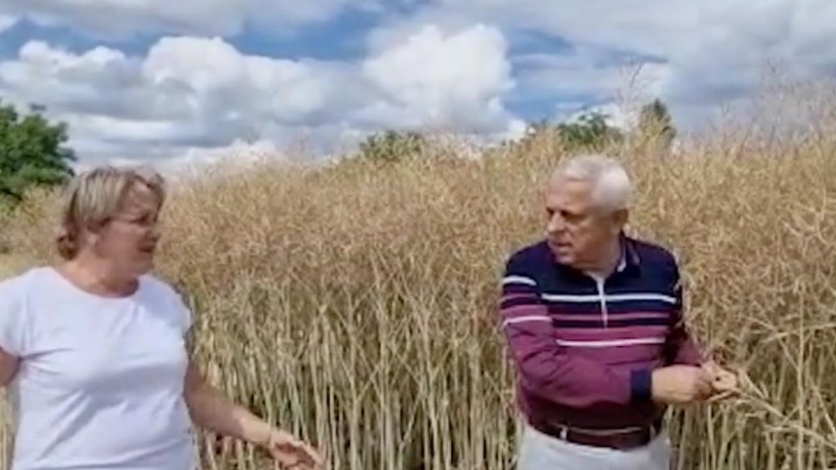 ministrul agriculturii maraton verificare culturi