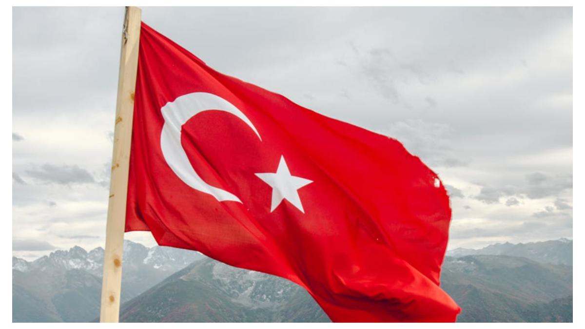 turcia lovitura fitch