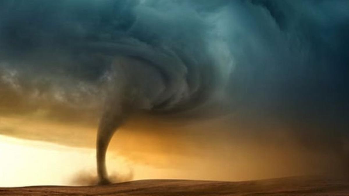 arad vartejuri incendiu lan de grau