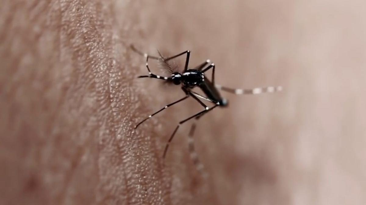 avertizare insp boli periculoase romania west nile