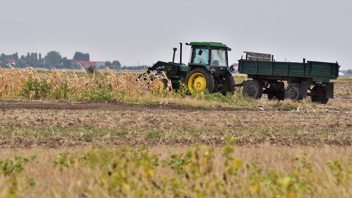 alerta din cauza secetei fermierii cer declararea starii de calamitate scrisoare catre premierul