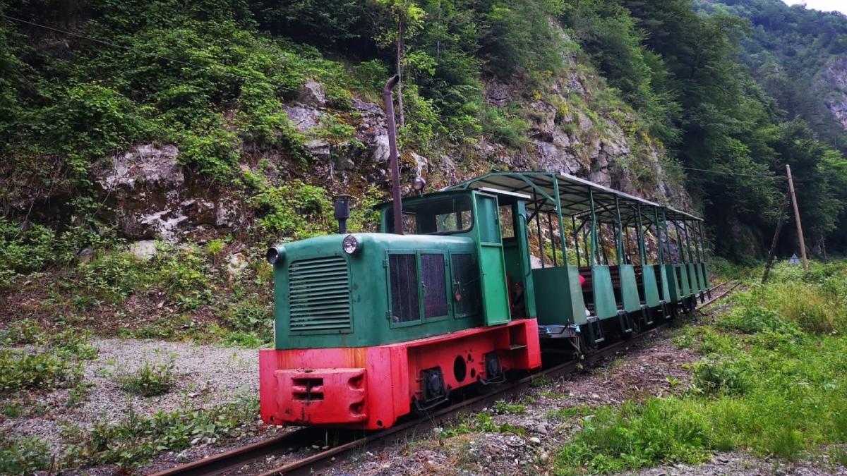 mocanita apuseni repusa functiune cat costa drum dus intors campeni carpinis