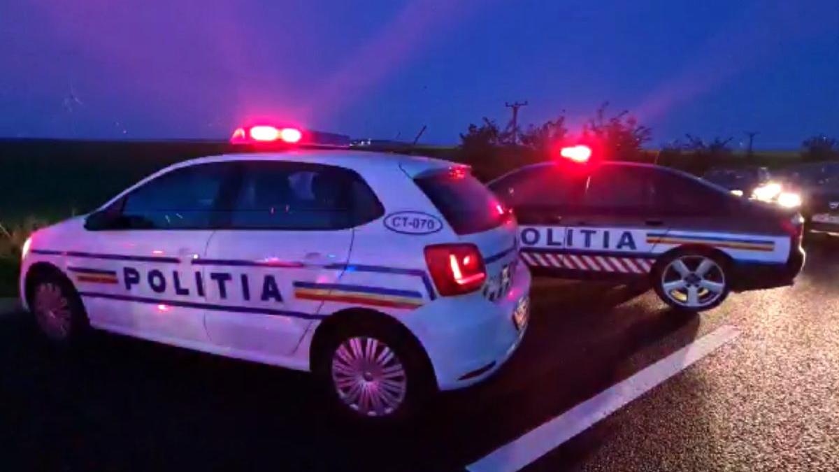 fata doi tineri incatusati politie crima telefon 800 lei arad