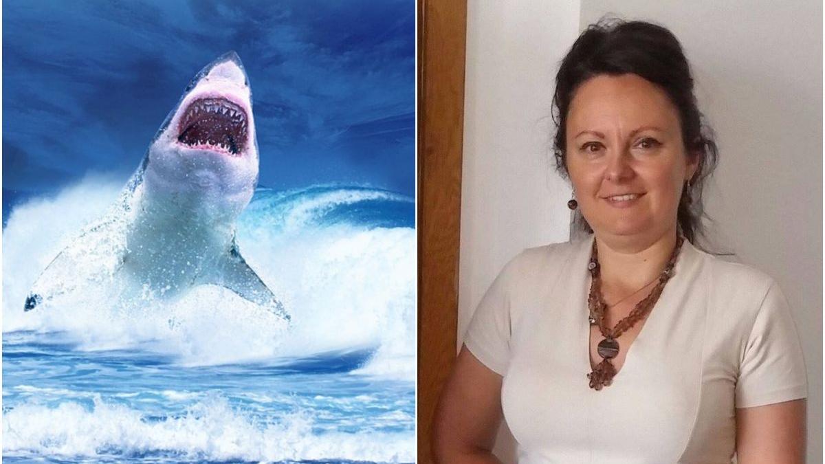 motiv oficial doua turiste inclusiv romanca ucise rechini egipt