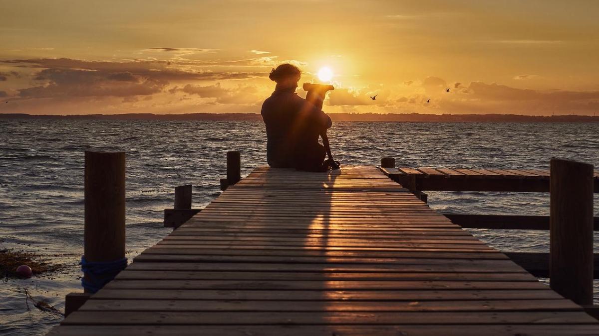 veterinari recomandare proprietari caini crema protectie solara