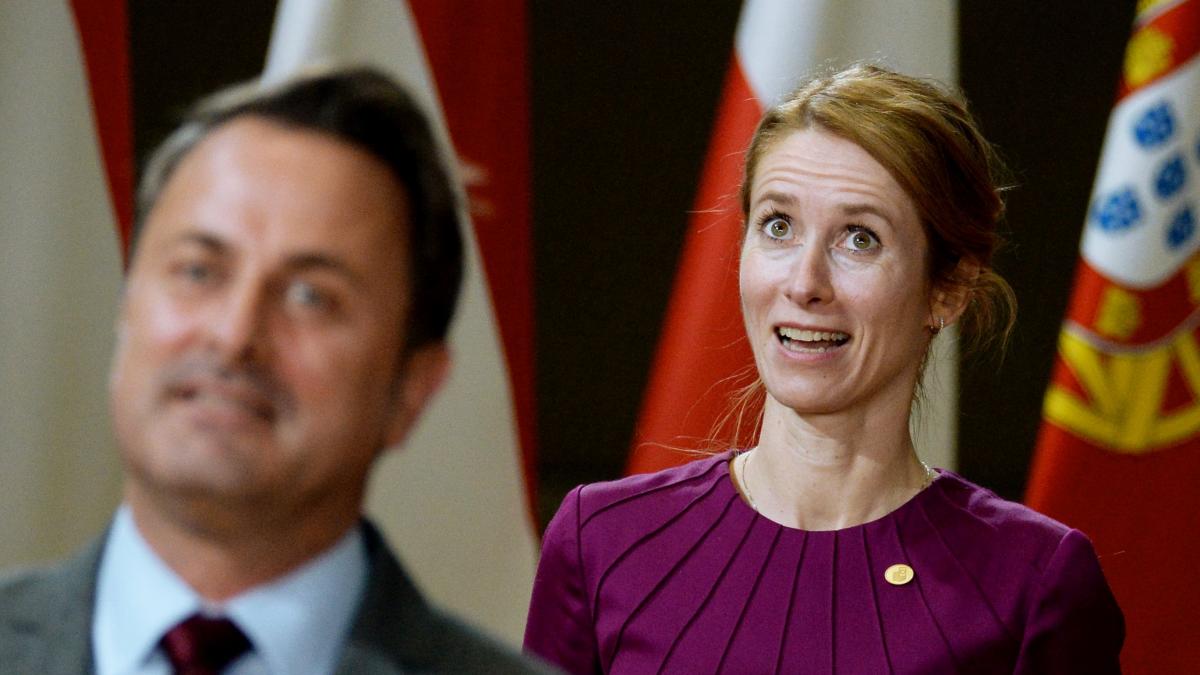 estonia guvernul a demisionat