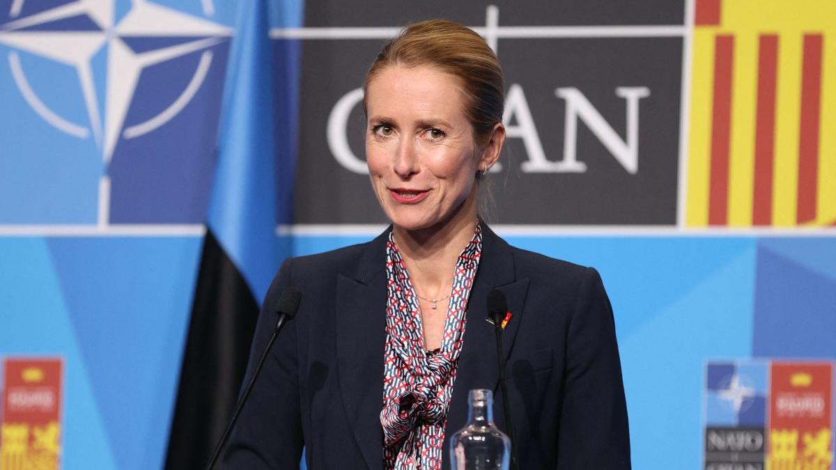 guvernul estoniei a demisionat rusia