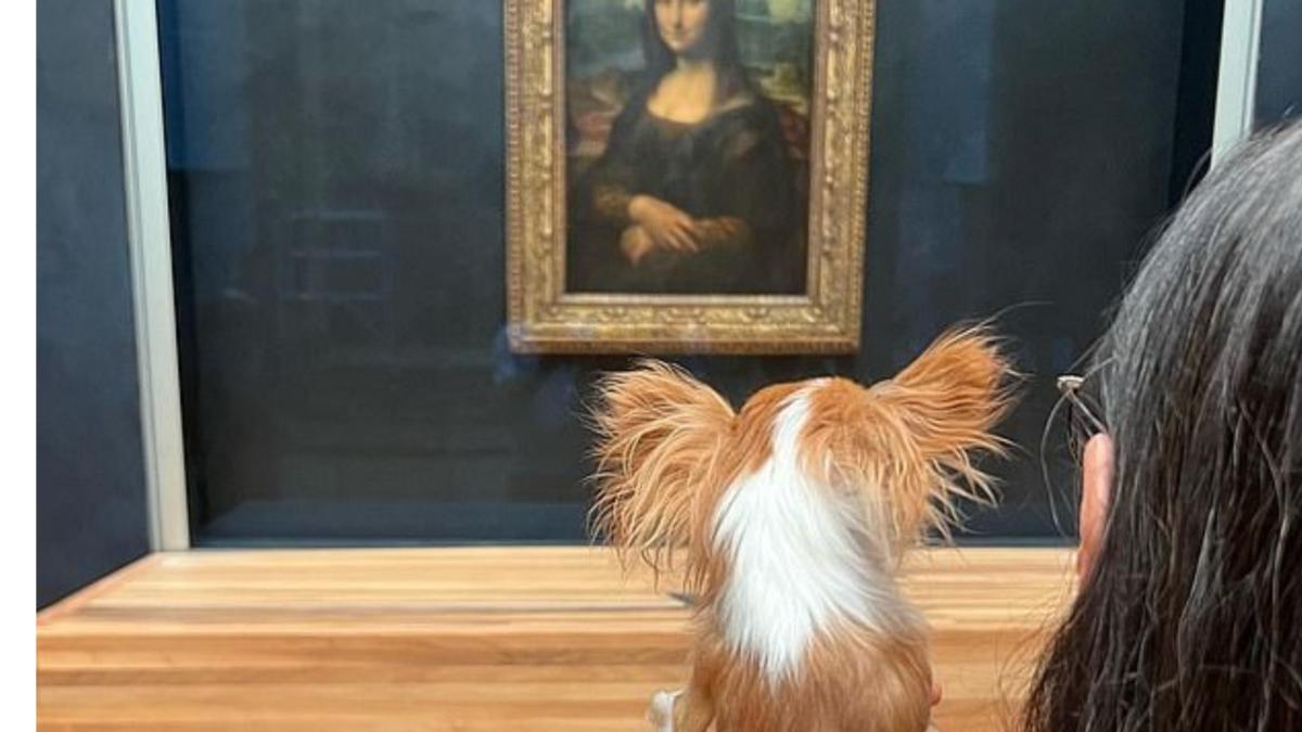 demi moore catel tur privat luvru