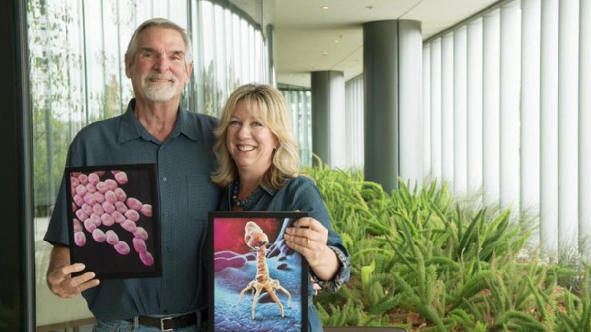 femeie sua tratament antibiotice solutie