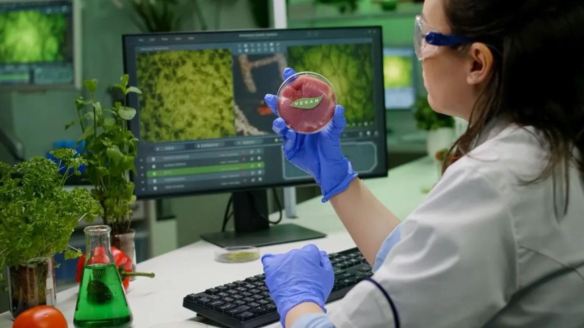 agricultura celulara viitorul alimentatiei inovaliment