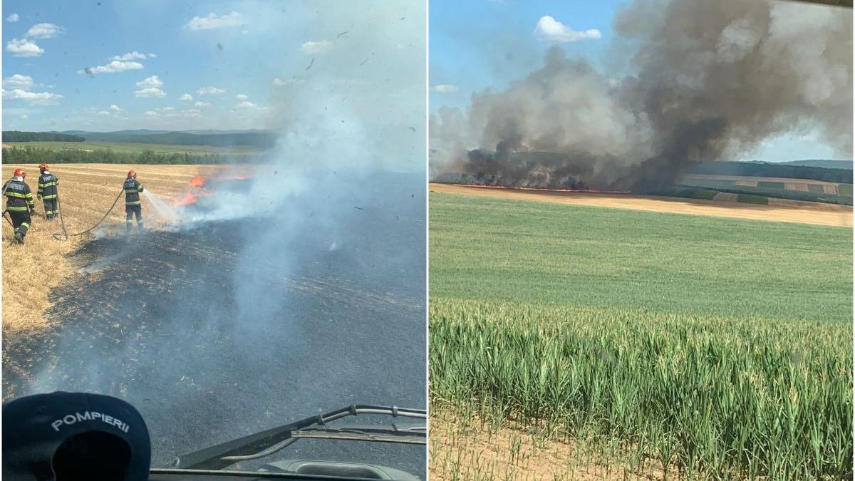 incendiu vegetatie bacau 15 hectare grau arse