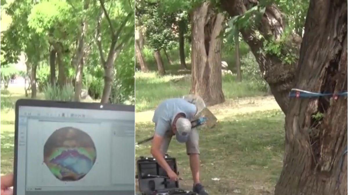 mod ingenios autoritati verifica stare copaci