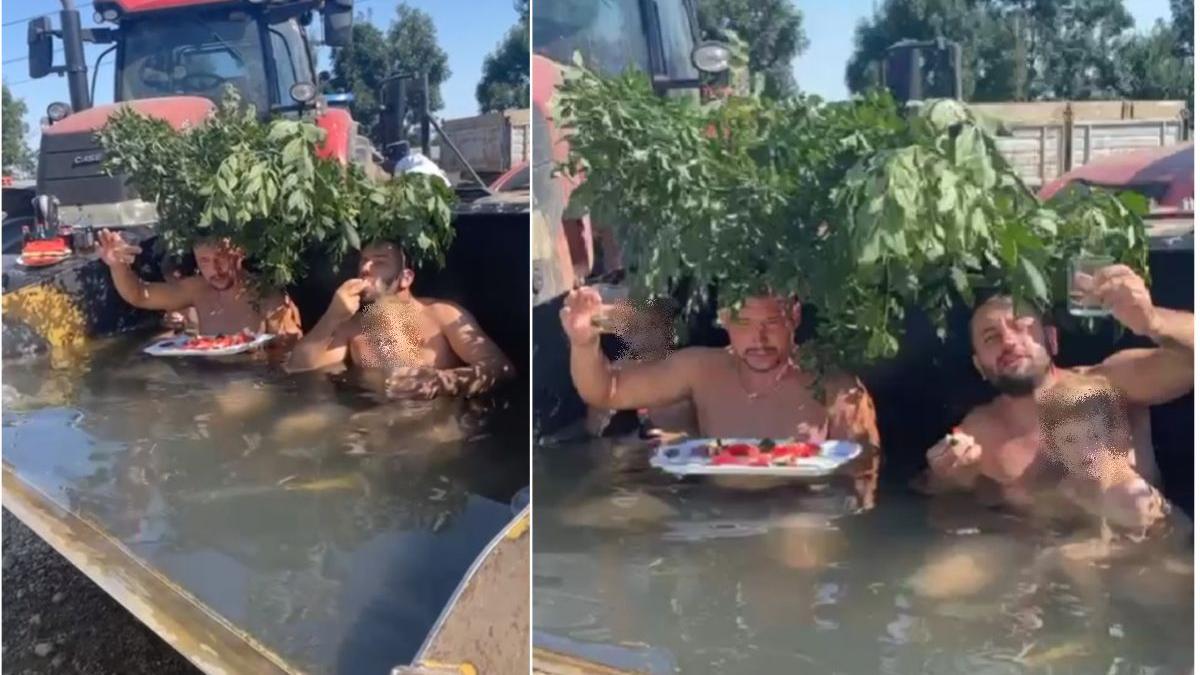 arges fermieri baie excavator