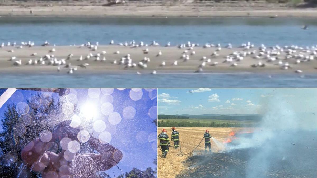 canicula ravagii romania meteo vremea