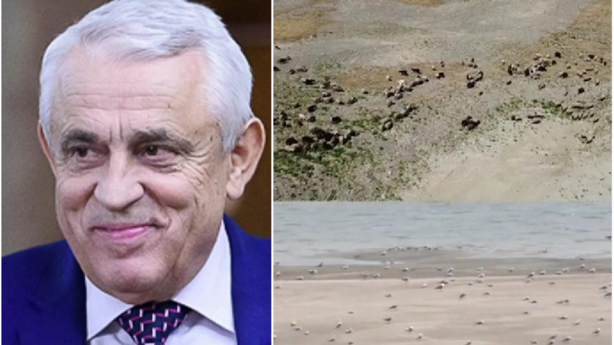 petre daea romania grau seceta culturi fermieri