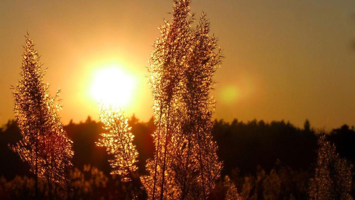 alerta extrema canicula mesaj ro alert 22 24 iulie 2022 dolj