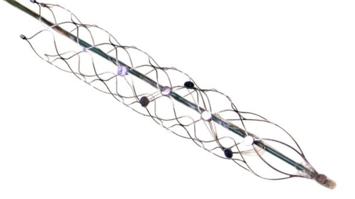 neurocip creier uman