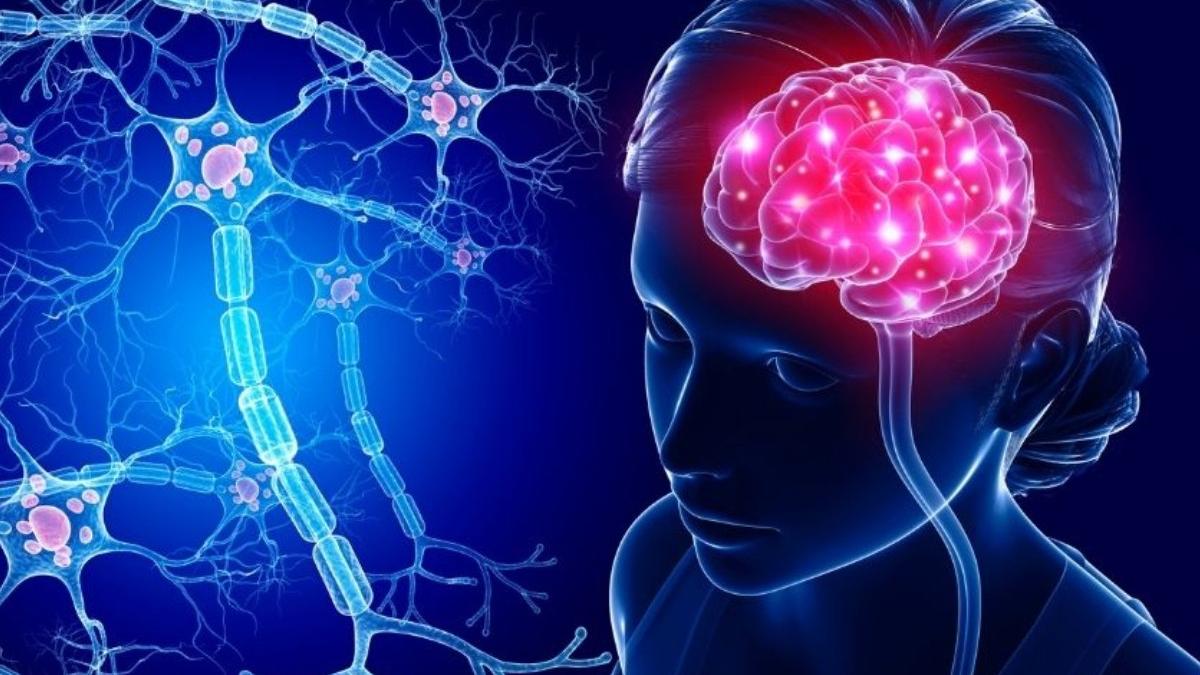 prof dr vlad ciurea despre emotiile care blocheaza creierul sfaturi utile