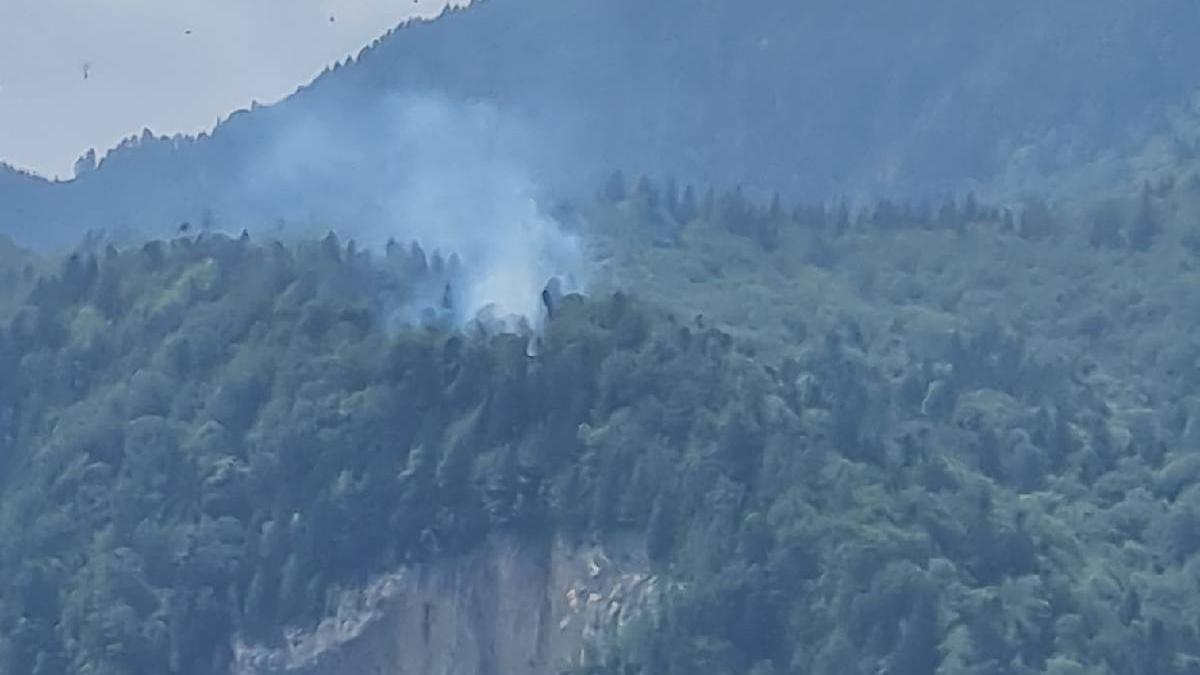 incendiu muntii bucegi padure piatra arsa
