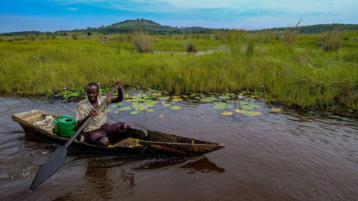 rusia africa congo lista