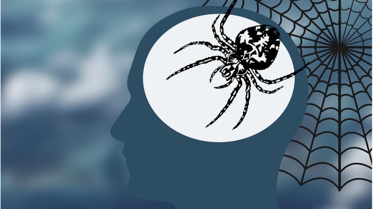 obsesii definitie comportament tratament