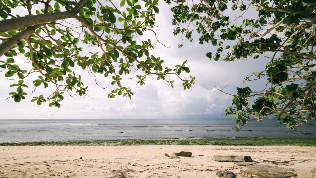 prognoza meteo 25 iulie 7 august 2022